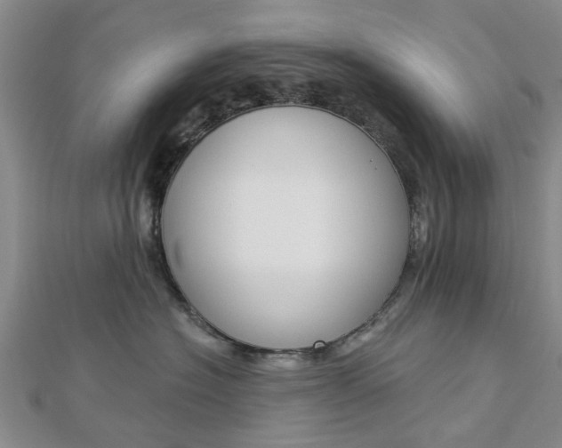 X0000112920574200908241033