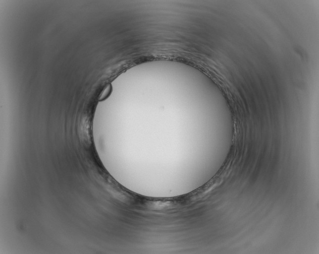 X0000112920575200908241033