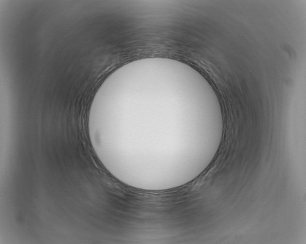 X0000112920576200908241033