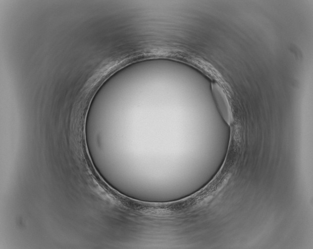 X0000112920577200908241033