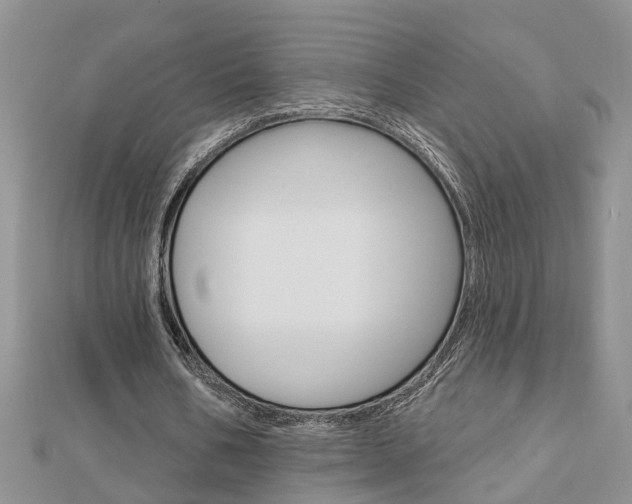 X0000112920578200908241033