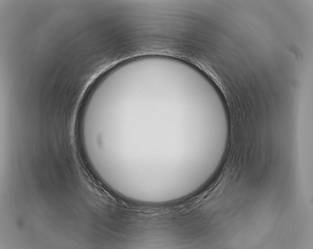 X0000112920579200908241033