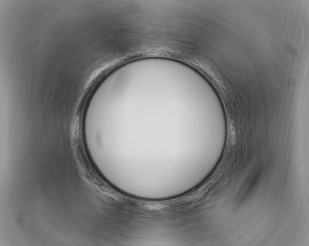 X0000112920583200908241033