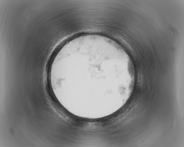 X0000112920584200908241033
