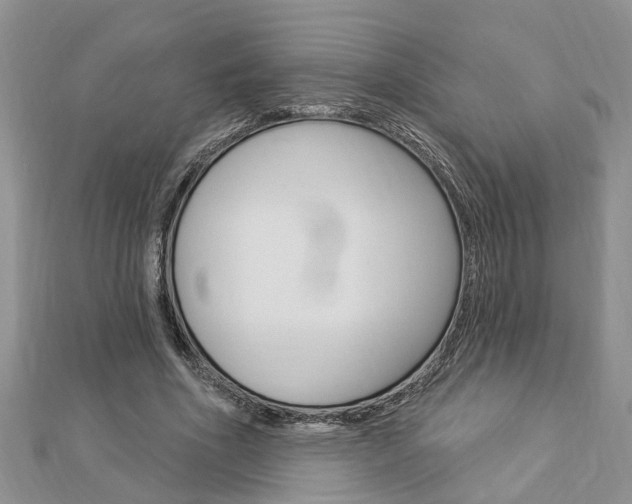 X0000112920586200908241033