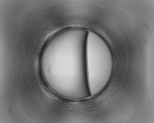X0000112920588200908241033