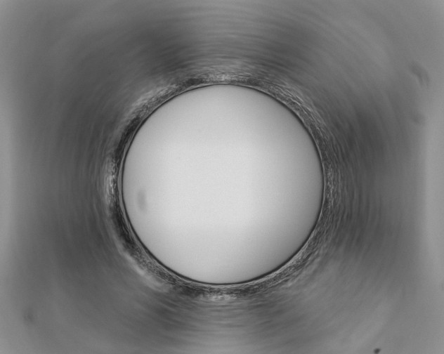 X0000112920590200908241033