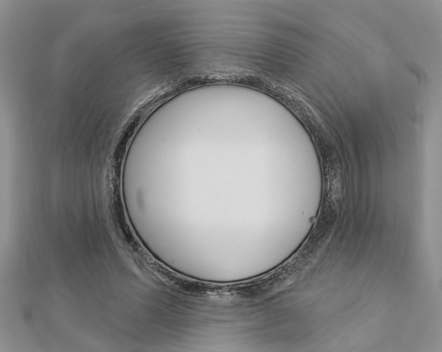 X0000112920591200908241033