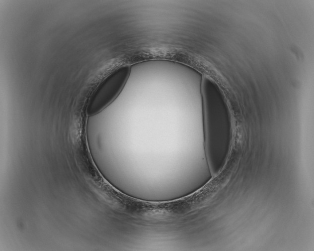 X0000112920593200908241033