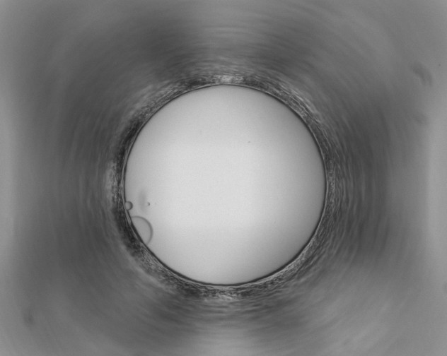 X0000112920594200908241033