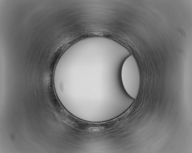 X0000112920595200908241032