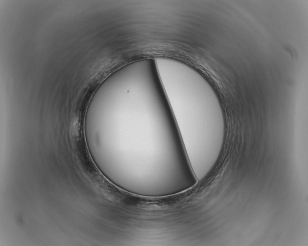 X0000112920597200908241032