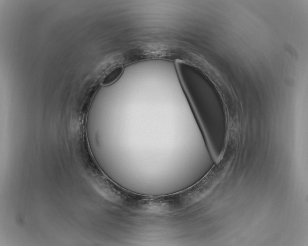 X0000112920601200908241032