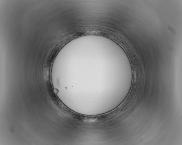 X0000112920602200908241032