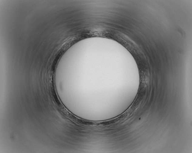 X0000112920603200908241032
