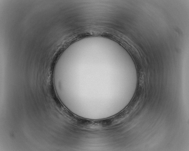 X0000112920604200908241032