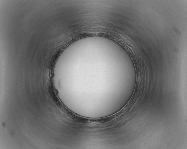 X0000112920605200908241032