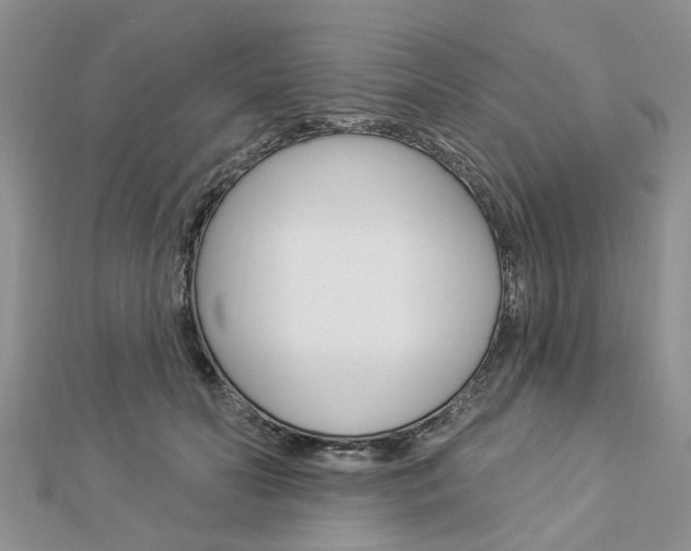 X0000112920606200908241032