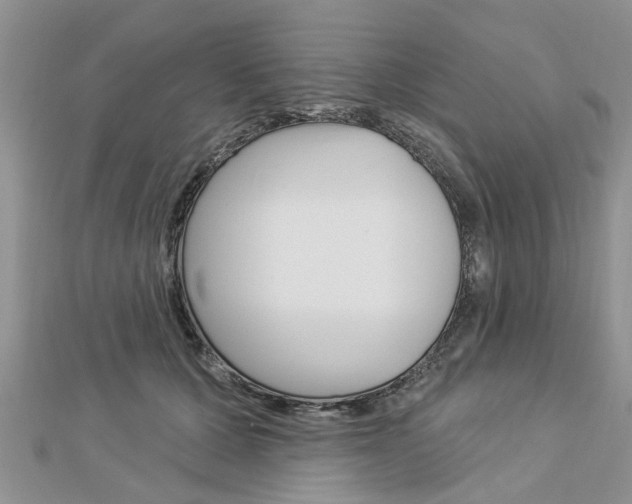 X0000112920607200908241032