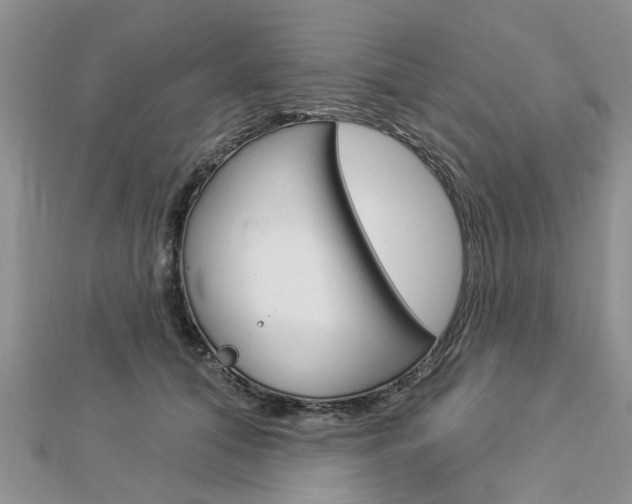 X0000112920608200908241032