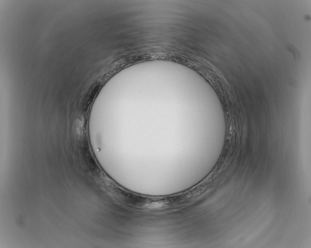 X0000112920610200908241032