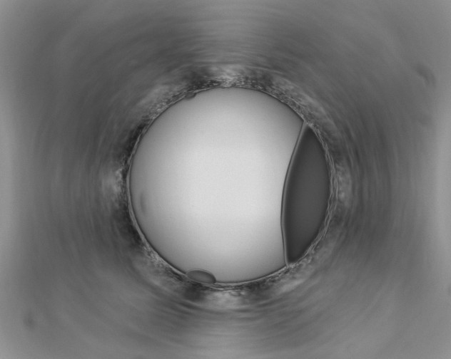 X0000112920611200908241032