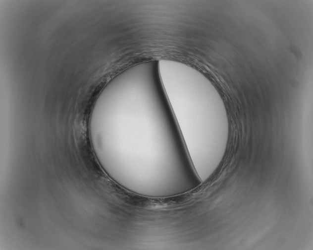 X0000112920613200908241032
