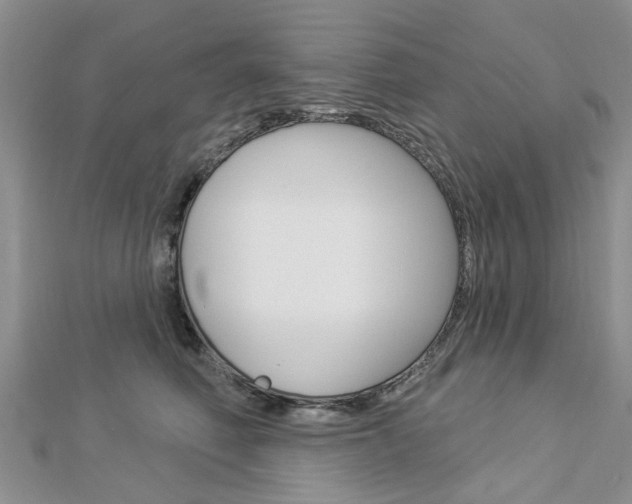 X0000112920614200908241032