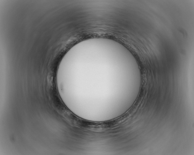 X0000112920615200908241032