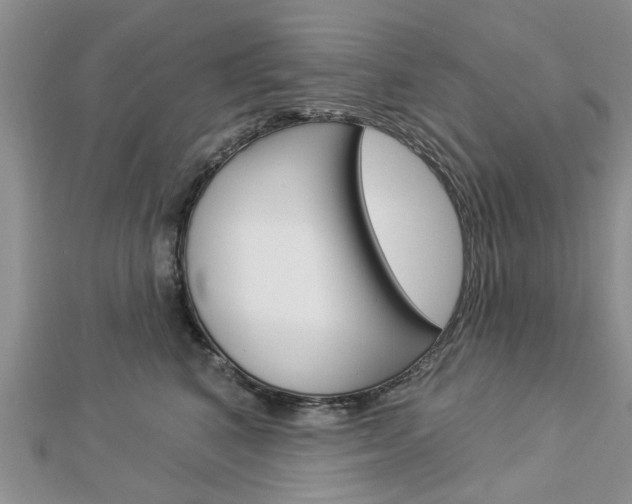 X0000112920616200908241032