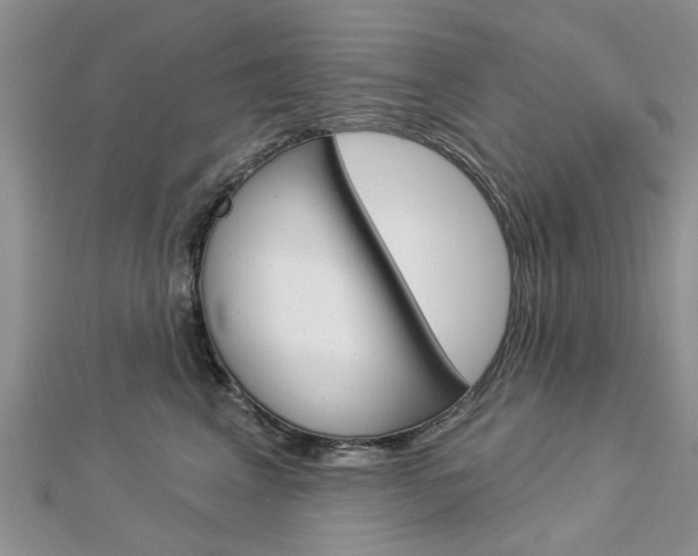X0000112920617200908241032