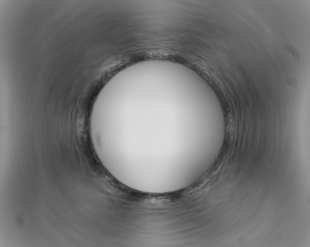 X0000112920619200908241032