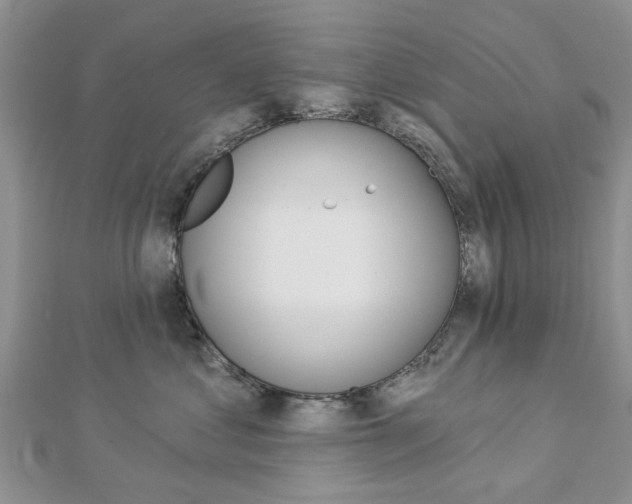 X0000112920621200908241032