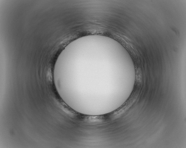 X0000112920622200908241032