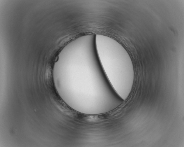 X0000112920623200908241032