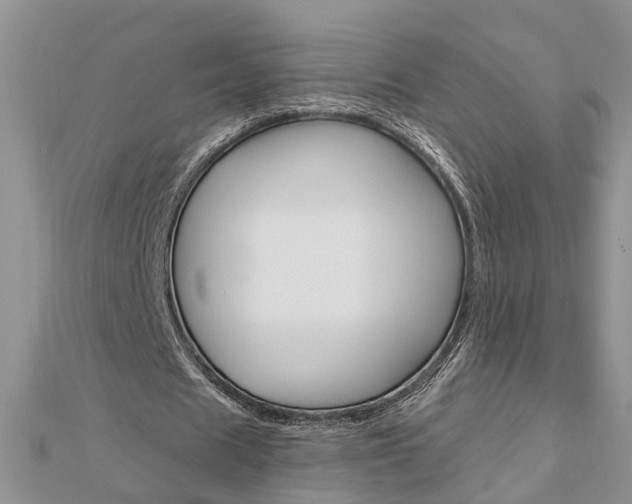 X0000112920625200908241032