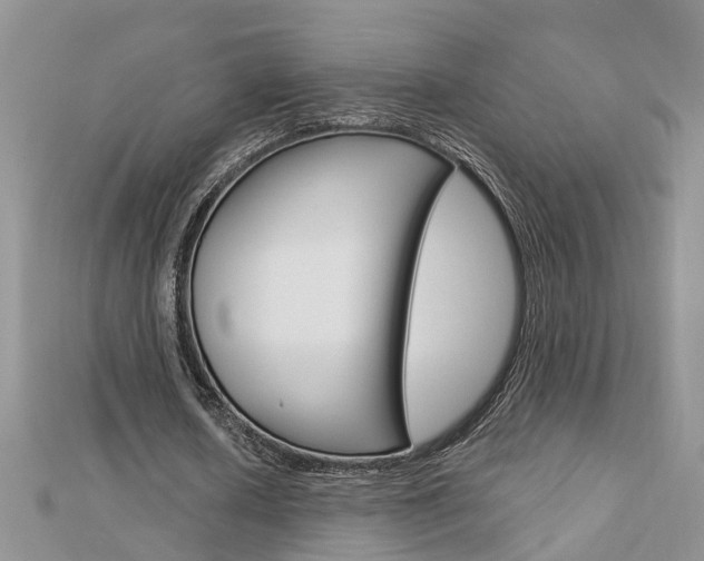 X0000112920626200908241032