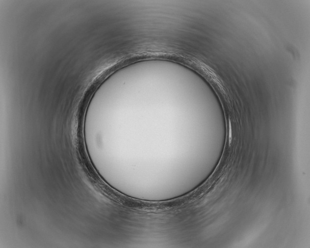X0000112920627200908241032