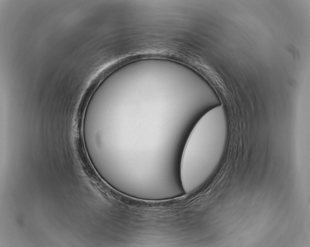 X0000112920628200908241032