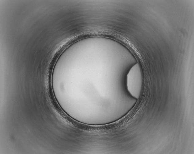 X0000112920629200908241032