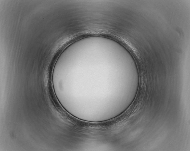 X0000112920631200908241032