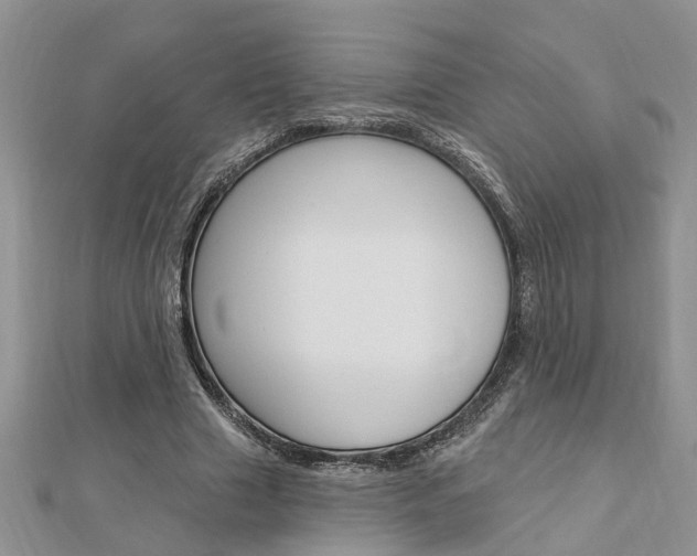 X0000112920633200908241032