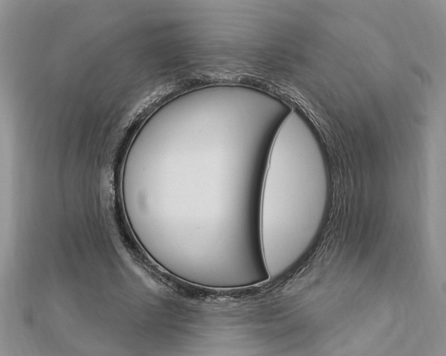 X0000112920634200908241032