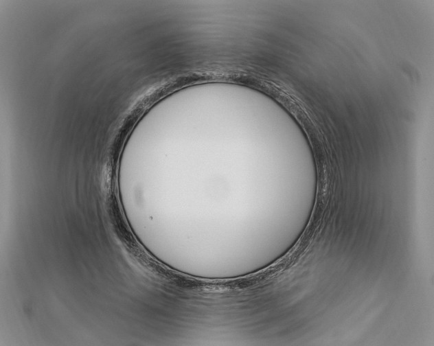 X0000112920636200908241032
