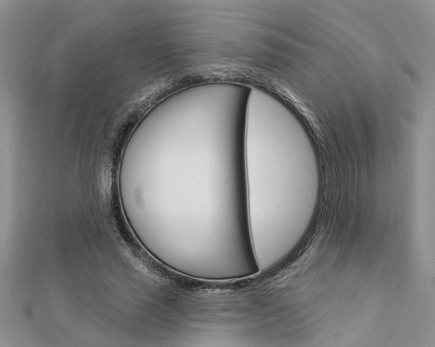 X0000112920637200908241032