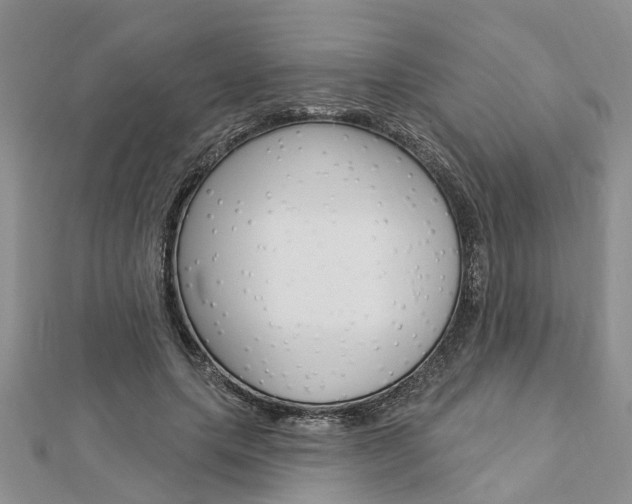 X0000112920639200908241032