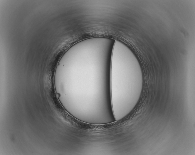 X0000112920642200908241032