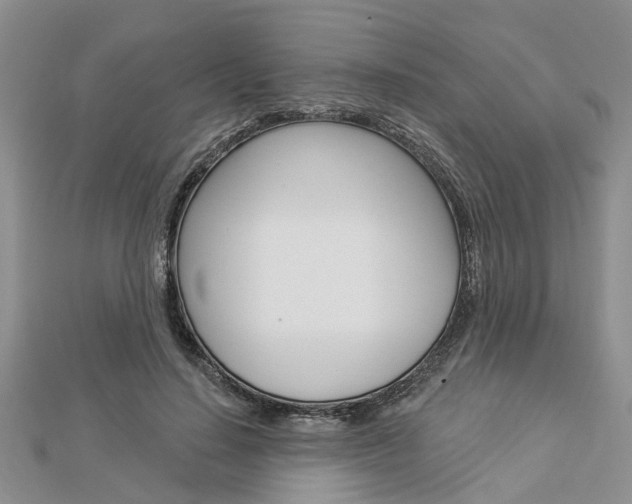 X0000112920644200908241032