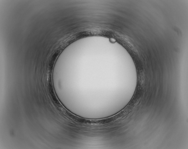 X0000112920645200908241032