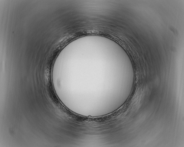 X0000112920648200908241032